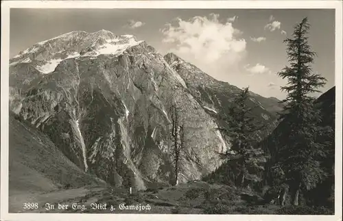 Lenggries Gamsjoch / Lenggries /Bad Toelz-Wolfratshausen LKR