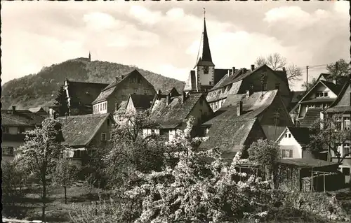 Neckarsteinach Altstadt Kirche / Neckarsteinach /Bergstrasse LKR