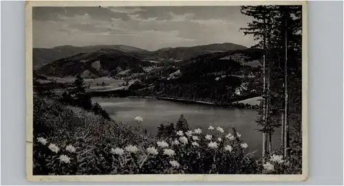 Titisee Titisee  x / Titisee-Neustadt /Breisgau-Hochschwarzwald LKR