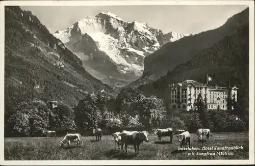 Interlaken BE Interlaken Hotel Jungfraublick Kuehe * / Interlaken /Bz. Interlaken