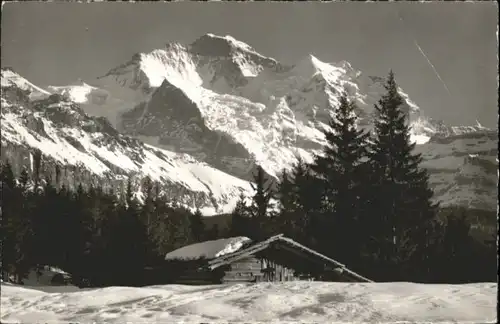 Wengen Wengen Jungfrau x /  /