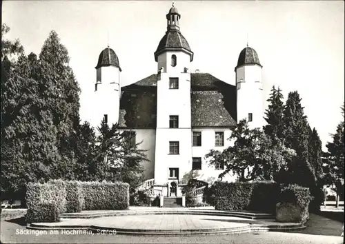 Bad Saeckingen Bad Saeckingen Hochrhein Schloss * / Bad Saeckingen /Waldshut LKR