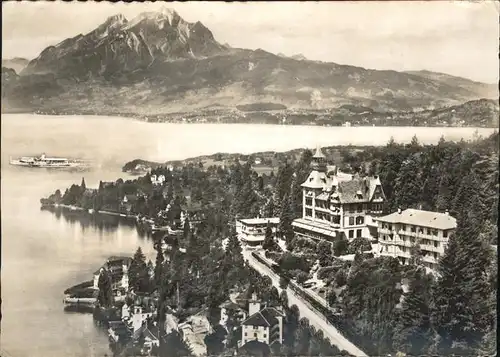 hw04575 Weggis LU Hotel Albana Kategorie. Weggis Alte Ansichtskarten