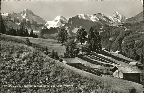 Wengen  Kat. Wengen