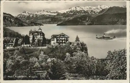 hw12747 Weggis LU Hotel Alpenblick Schiff Kategorie. Weggis Alte Ansichtskarten