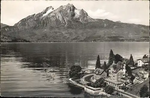 hw13815 Weggis LU Hotel Felsberg Kategorie. Weggis Alte Ansichtskarten