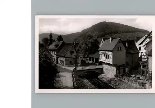 Neckarsteinach  / Neckarsteinach /Bergstrasse LKR