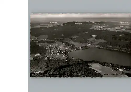 Titisee Fliegeraufnahme / Titisee-Neustadt /Breisgau-Hochschwarzwald LKR