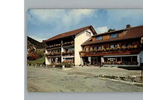 Lenzkirch Cafe, Restaurant, Pension Ursee / Lenzkirch /Breisgau-Hochschwarzwald LKR