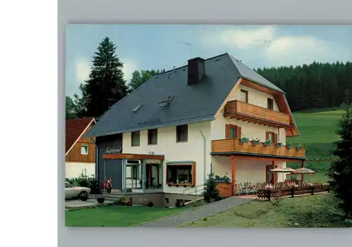 Lenzkirch Pension Margaretenhof / Lenzkirch /Breisgau-Hochschwarzwald LKR