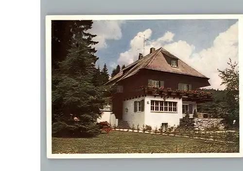 Titisee Pension Schwarzwaldhaus / Titisee-Neustadt /Breisgau-Hochschwarzwald LKR