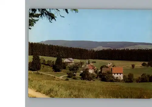 Lenzkirch Gasthaus Gruenwald / Lenzkirch /Breisgau-Hochschwarzwald LKR