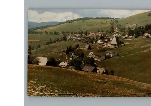 Todtnauberg  / Todtnau /Loerrach LKR