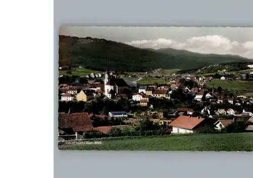 Viechtach Bayerischer Wald  / Viechtach /Regen LKR