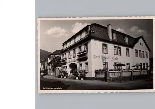 Miltenberg Main Hotel Linde / Miltenberg /Miltenberg LKR