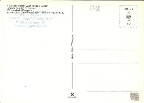 Neustadt Weinstrasse Rebenterrasse Kat. Neustadt an der Weinstr.