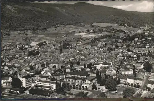 Neustadt Weinstrasse  Kat. Neustadt an der Weinstr.