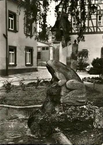 Tauberbischofsheim Die Kroete Kat. Tauberbischofsheim