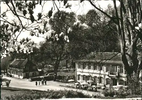 pw12036 Bensheim Bergstrasse Fuerstenlager Cafe Herrenhaus Kategorie. Bensheim Alte Ansichtskarten