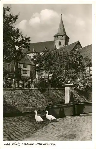 Bad Koenig Brunnen Gaense Kat. Bad Koenig