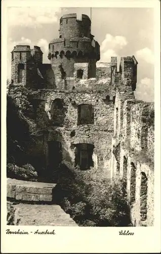 Bensheim Auerbach Schloss  x