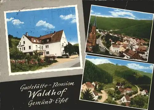 Gemuend Eifel Gaststaette Pension Waldhof x