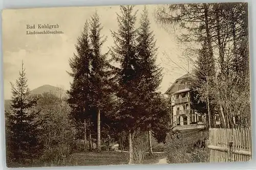 Bad Kohlgrub Llindenschloesschen x 1910