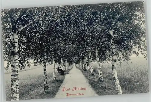 Bad Aibling Bad Aibling  ungelaufen ca. 1910 / Bad Aibling /Rosenheim LKR