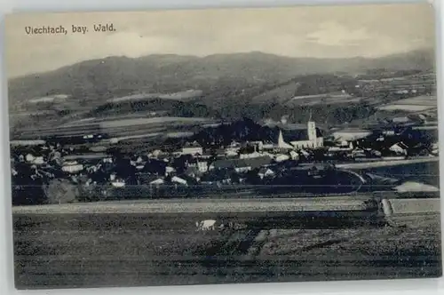 Viechtach Bayerischer Wald Viechtach  ungelaufen ca. 1910 / Viechtach /Regen LKR