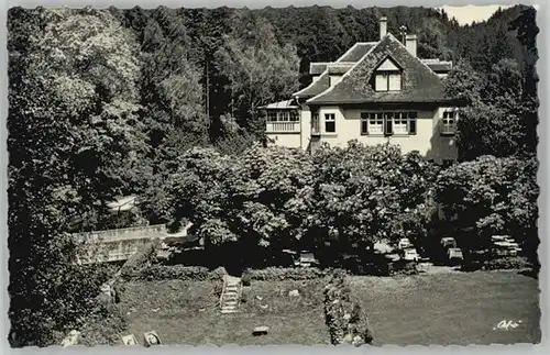 Wirsberg Pension Hubertus x