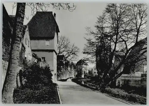 Donauwoerth Onkel-Ludwig-Anlage Faerbertoerl Riedertor *