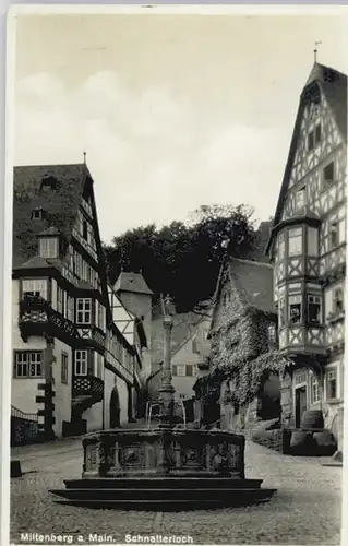 Miltenberg Schnatterloch *