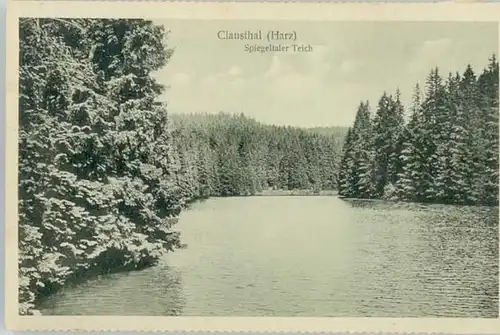 Clausthal-Zellerfeld Spiegeltaler Teich *