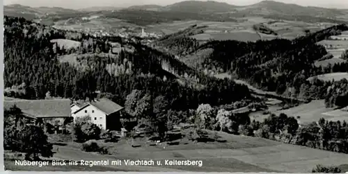 Viechtach Keitersberg Regental x