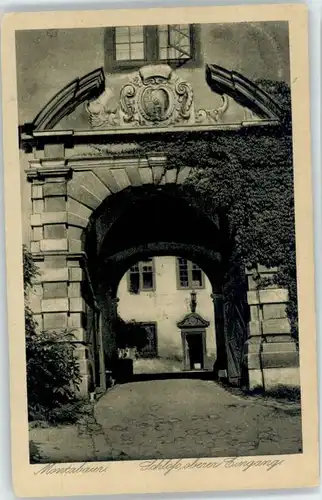 Montabaur Schloss Eingang x