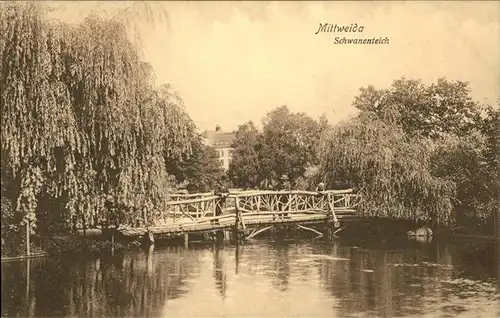 Mittweida Schwanenteich / Mittweida /Mittelsachsen LKR