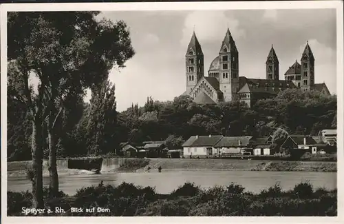 Speyer Rhein Dom / Speyer /Speyer Stadtkreis