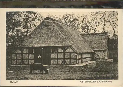 Husum Nordfriesland Ostenfelder Bauernhaus / Husum /Nordfriesland LKR