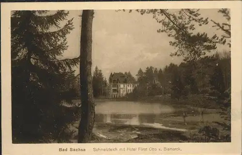 Bad Sachsa Harz Schelzteich Hotel Fuerst Otto v. Bismarck / Bad Sachsa /Osterode Harz LKR