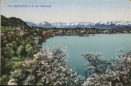 Bregenz Vorarlberg Bluetezeit / Bregenz /Rheintal-Bodenseegebiet