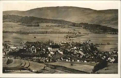 Viechtach Bayerischer Wald  / Viechtach /Regen LKR