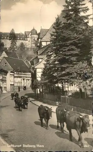 Stolberg Harz  / Stolberg Harz /Mansfeld-Suedharz LKR