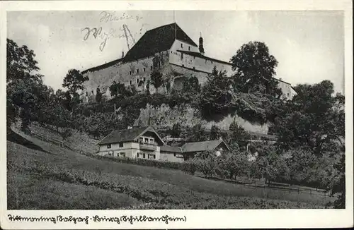 Tittmoning Salzach Burg / Tittmoning /Traunstein LKR