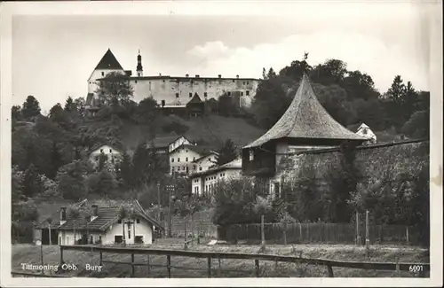 Tittmoning Salzach Burg / Tittmoning /Traunstein LKR