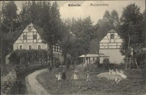 Mittweida Mittweida Marienmuehle Gans x / Mittweida /Mittelsachsen LKR