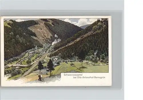 Schwarzenberg Erzgebirge Schwarzwassertal Erla Antonsthal Bermsgruen *