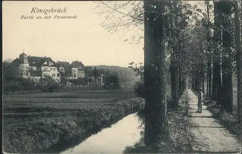 Koenigsbrueck Promenade *