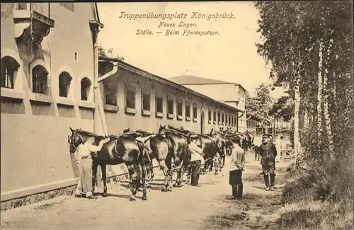 Koenigsbrueck Truppenuebungsplatz Pferdeputzen *