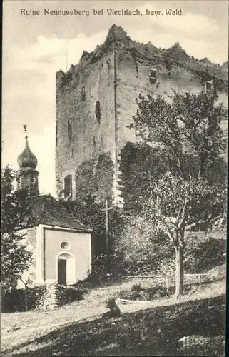 Viechtach Ruine Neunussberg