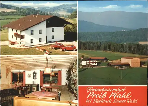 Viechtach Ferienbauernhof Preiss Pfahl